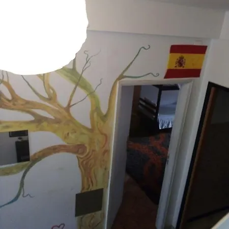 ホステル Caledonian Backpackers Again *